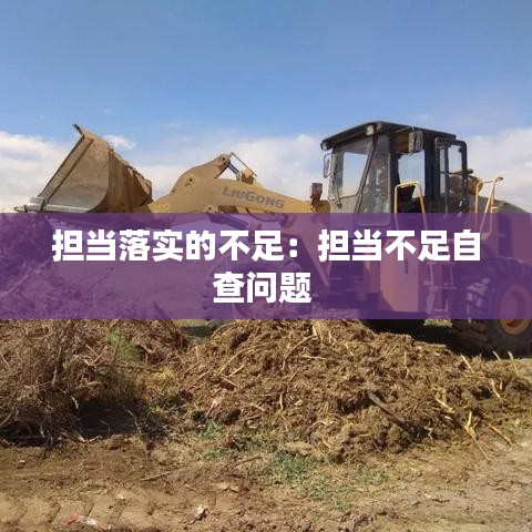 担当落实的不足：担当不足自查问题 