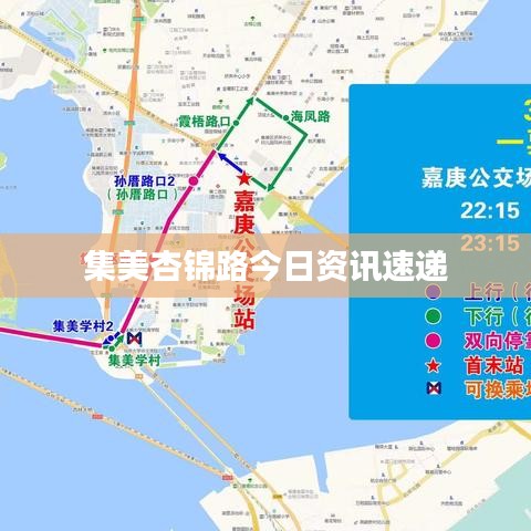 集美杏锦路今日资讯速递