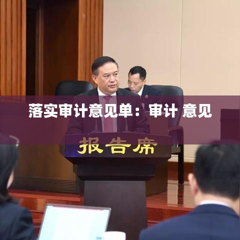 落实审计意见单：审计 意见 