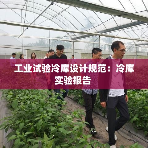 工业试验冷库设计规范：冷库实验报告 