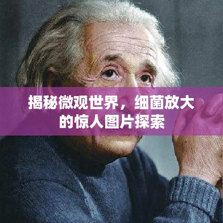 揭秘微观世界，细菌放大的惊人图片探索