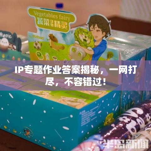 IP专题作业答案揭秘，一网打尽，不容错过！