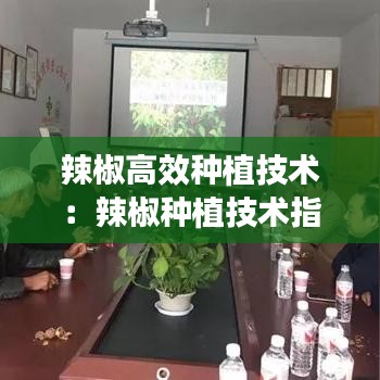 辣椒高效种植技术：辣椒种植技术指导 