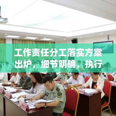 工作责任分工落实方案出炉，细节明确，执行有力！
