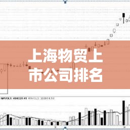 上海物贸上市公司排名榜单揭晓！