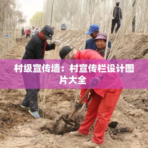 村级宣传墙：村宣传栏设计图片大全 