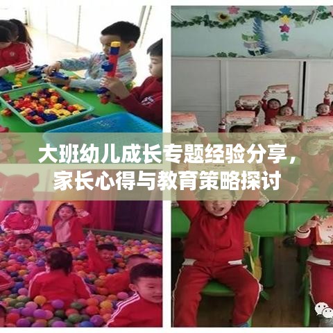 大班幼儿成长专题经验分享，家长心得与教育策略探讨