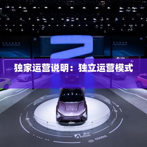 独家运营说明：独立运营模式 