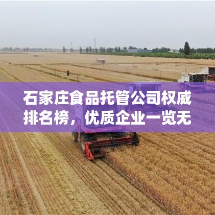 石家庄食品托管公司权威排名榜，优质企业一览无余！