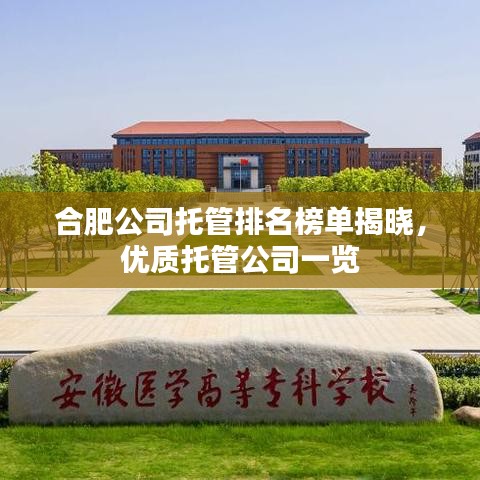 合肥公司托管排名榜单揭晓，优质托管公司一览