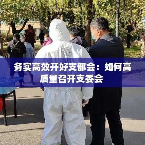 务实高效开好支部会：如何高质量召开支委会 