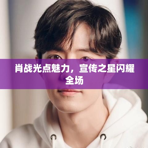 肖战光点魅力，宣传之星闪耀全场