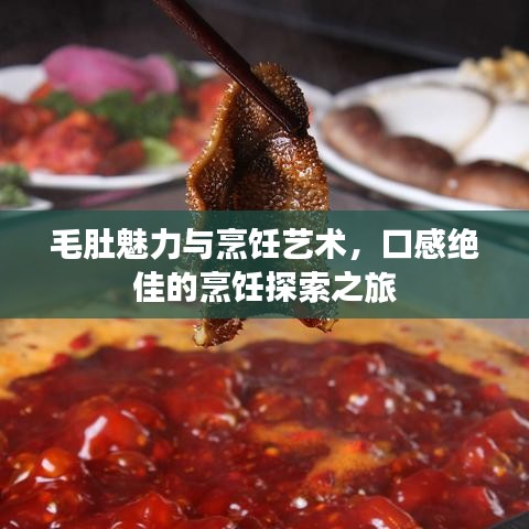 毛肚魅力与烹饪艺术，口感绝佳的烹饪探索之旅
