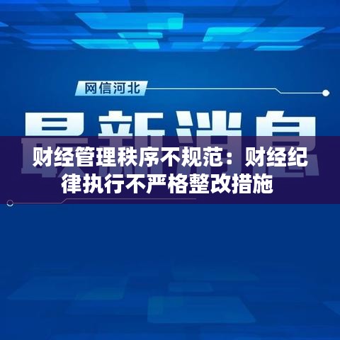 财经管理秩序不规范：财经纪律执行不严格整改措施 