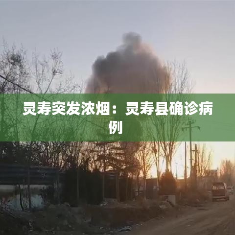 灵寿突发浓烟：灵寿县确诊病例 