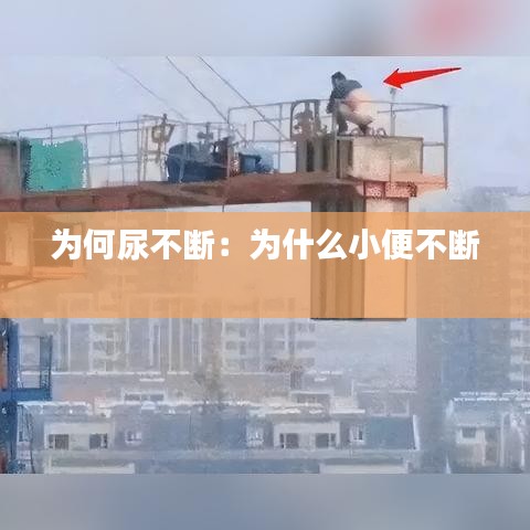 为何尿不断：为什么小便不断 