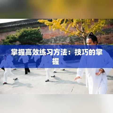 掌握高效练习方法：技巧的掌握 
