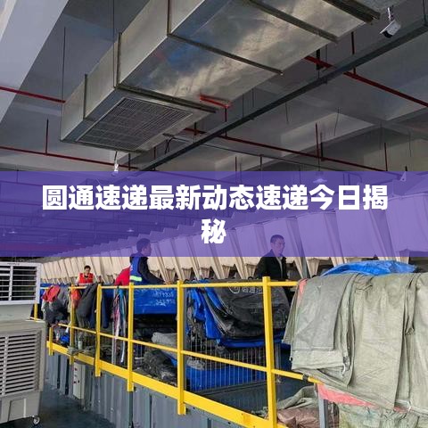 圆通速递最新动态速递今日揭秘