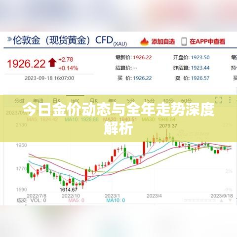 今日金价动态与全年走势深度解析