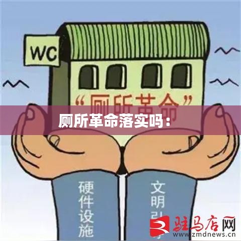 厕所革命落实吗： 