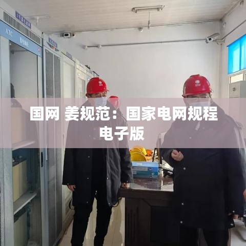 国网 姜规范：国家电网规程电子版 