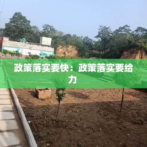 政策落实要快：政策落实要给力 