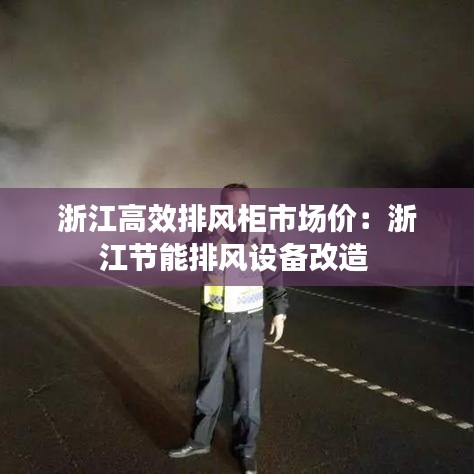 浙江高效排风柜市场价：浙江节能排风设备改造 