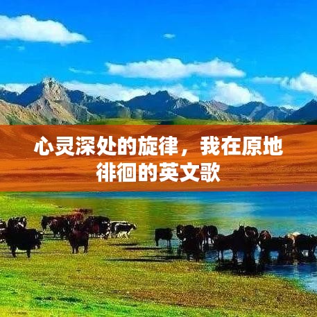 心灵深处的旋律，我在原地徘徊的英文歌