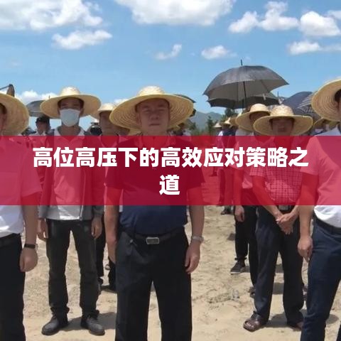 高位高压下的高效应对策略之道