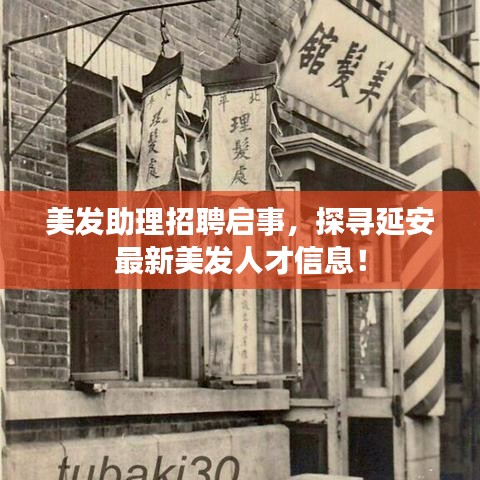 美发助理招聘启事，探寻延安最新美发人才信息！