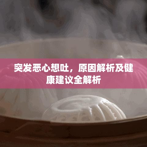 突发恶心想吐，原因解析及健康建议全解析