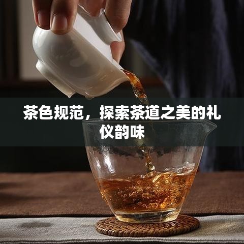 茶色规范，探索茶道之美的礼仪韵味