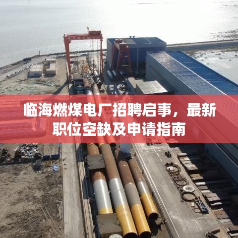 临海燃煤电厂招聘启事，最新职位空缺及申请指南