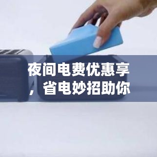 公司介绍 第46页