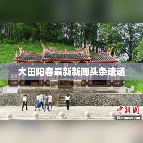 大田阳春最新新闻头条速递