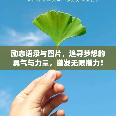 励志语录与图片，追寻梦想的勇气与力量，激发无限潜力！