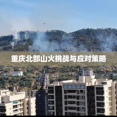 重庆北部山火挑战与应对策略