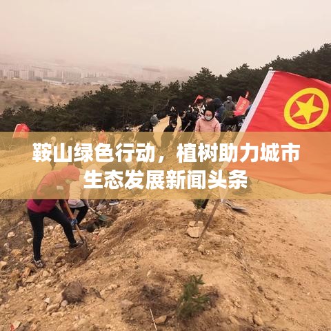 鞍山绿色行动，植树助力城市生态发展新闻头条