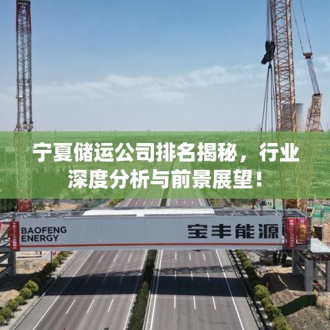 宁夏储运公司排名揭秘，行业深度分析与前景展望！