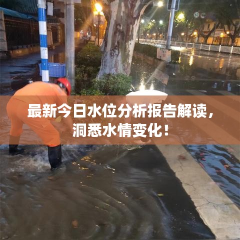 最新今日水位分析报告解读，洞悉水情变化！