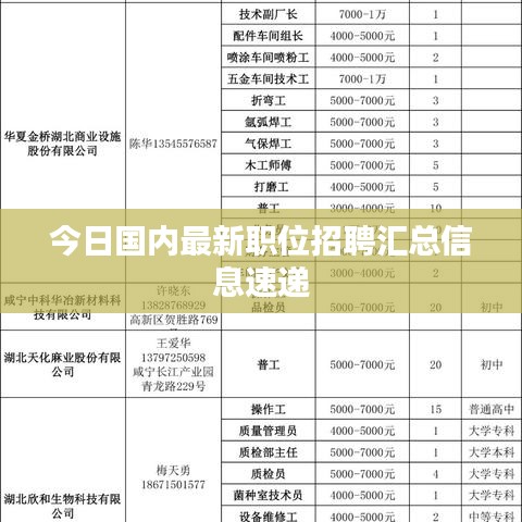 今日国内最新职位招聘汇总信息速递