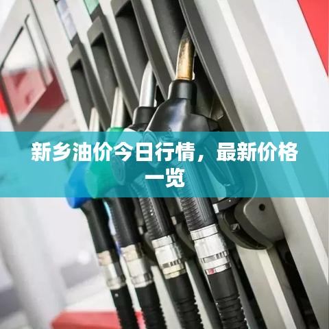 新乡油价今日行情，最新价格一览