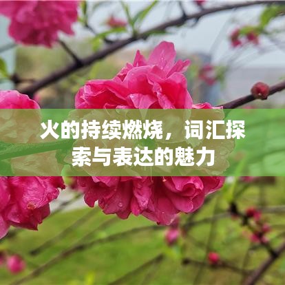 火的持续燃烧，词汇探索与表达的魅力