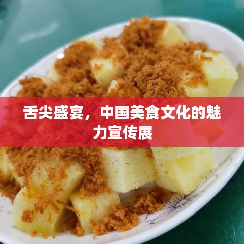 舌尖盛宴，中国美食文化的魅力宣传展