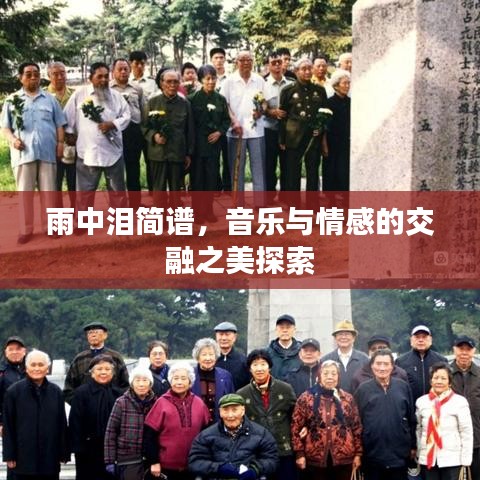 雨中泪简谱，音乐与情感的交融之美探索