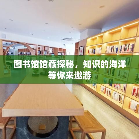 图书馆馆藏探秘，知识的海洋等你来遨游