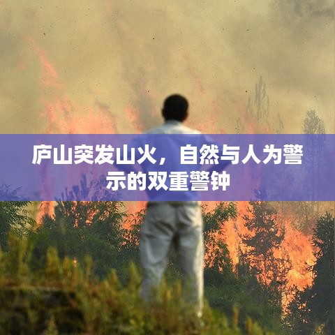 庐山突发山火，自然与人为警示的双重警钟