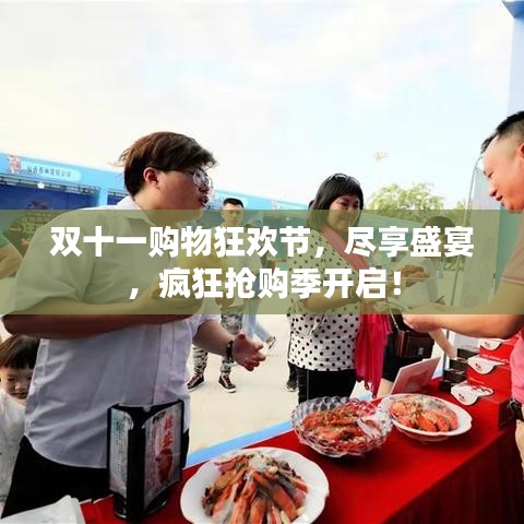 双十一购物狂欢节，尽享盛宴，疯狂抢购季开启！