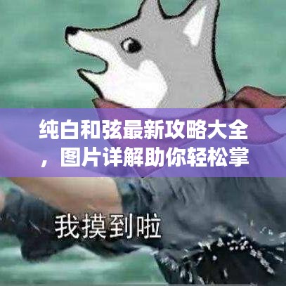 纯白和弦最新攻略大全，图片详解助你轻松掌握游戏技巧！