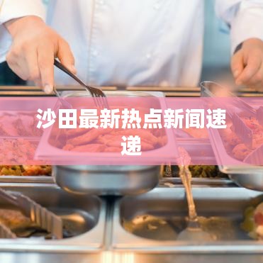 沙田最新热点新闻速递